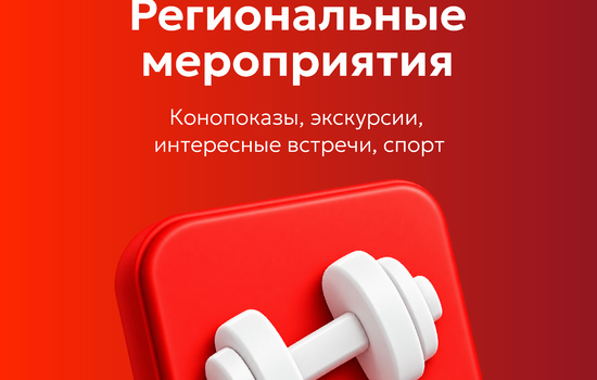 Популярные цифровые сервисы Красноярского края объединили на одной платформе 